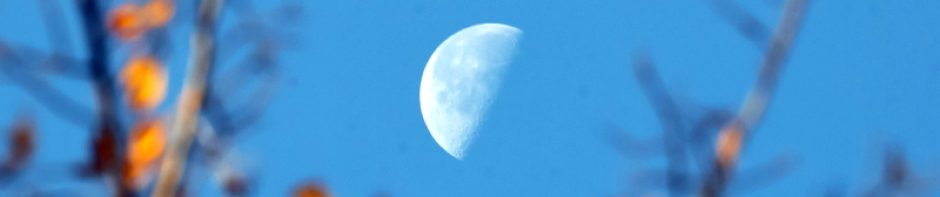 ハーフムーン halfmoon blog